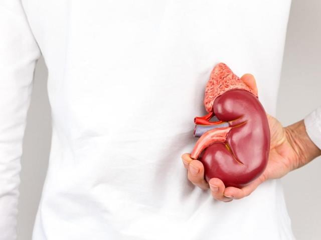 Five doctors of Mumbai’s well-known LH Hiranandani Hospital accused of being part of kidney-transplant racket. (Shutterstock representative image) Five doctors of Mumbai’s well-known LH Hiranandani Hospital accused of being part of kidney-transplant racket. (Shutterstock representative image)