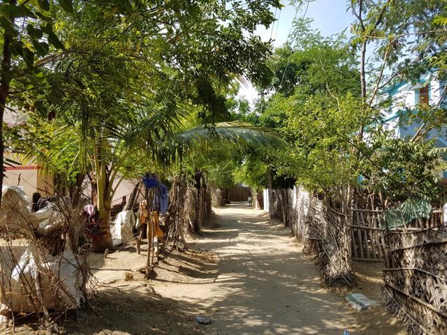Pazhangkallimedu village is home to over 500 families, 167 of which, according to the 2011 Census, are classified as being Dalits. (Aditya Iyer/HT Photo) Pazhangkallimedu village is home to over 500 families, 167 of which, according to the 2011 Census, are classified as being Dalits. (Aditya Iyer/HT Photo)
