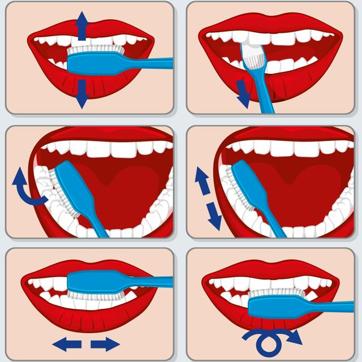 The right way to brush your teeth. (Shutterstock) The right way to brush your teeth. (Shutterstock)