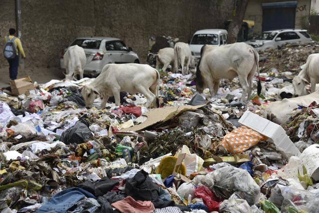 For more than 10 years, a vacant land just 50m away from two schools — belonging to SDMC and Delhi government — is being used to dump garbage.(S Burmaula / HT Photo)