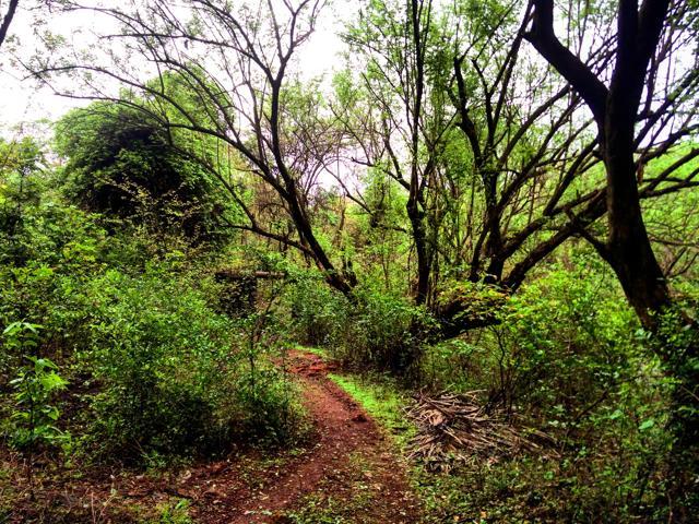 Green Valley Park, situated adjacent to the Mumbai-Pune highway, is maintained by CIDCO, (Picture Courtesy: Shantenu Tilwankar)