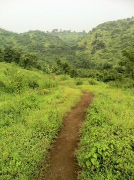 The route through Kharghar hills is scenic and perfect for nature lovers. (Picture courtesy: V Shubhalaxmi)