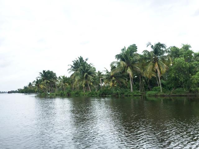 Alleppey is also known as the Venice of the East. It is famous for its picturesque canals, beaches, lagoons and houseboats. (Rahul Tiwari)