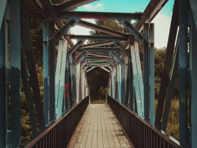Fancy a walk on this perfect little foot bridge? (Instagram/igorlantratov) 