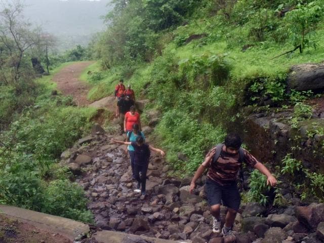The Kalavantin Durg trek is not just steep, but also a treacherous, posing a challenge to enthusiasts. (Pratik Chorge)