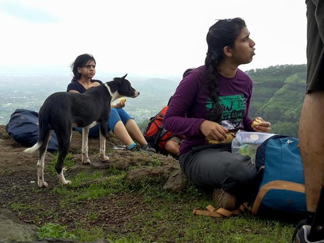 Lunch breaks at Prabalmachi are a common sight during the Kalavantin Durg trek. (Pratik Chorge)