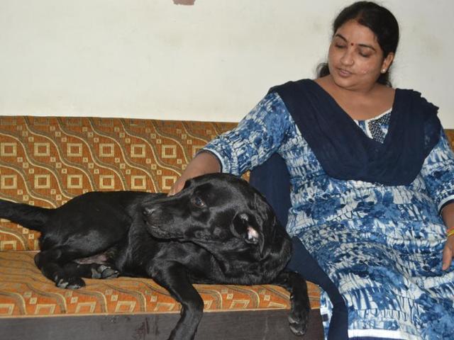 Wife of RS Katheria, Dr Mridula with Kalu, the missing Labrador that was recovered from Lawyers’ Colony in Agra on Saturday (HT Photo) Wife of RS Katheria, Dr Mridula with Kalu, the missing Labrador that was recovered from Lawyers’ Colony in Agra on Saturday (HT Photo)
