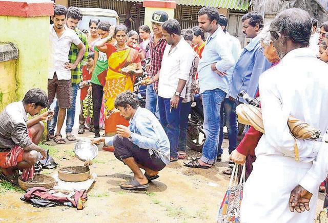 A spectacled cobra whose fangs were removed for Nag panchami. (Ajay Giri) A spectacled cobra whose fangs were removed for Nag panchami. (Ajay Giri)