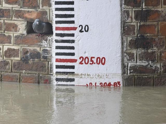 A river gauge scale shows Yamuna’s water level at 204.83 metre in Delhi on August 14. (Sonu Mehta/HT PHOTO) A river gauge scale shows Yamuna’s water level at 204.83 metre in Delhi on August 14. (Sonu Mehta/HT PHOTO)