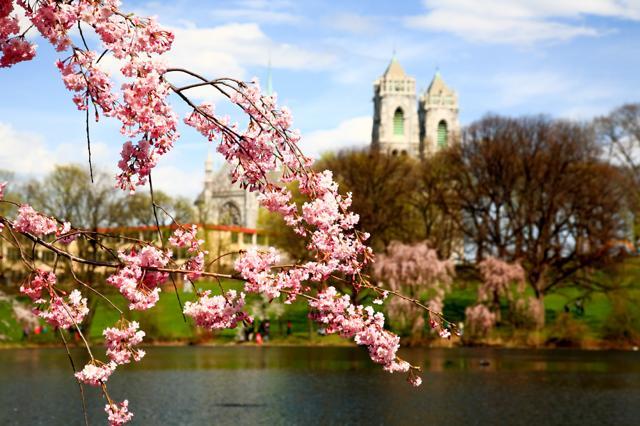Though it looks beautiful, Newark, New Jersey, supposedly has the world’s unfriendliest people. (Shutterstock) Though it looks beautiful, Newark, New Jersey, supposedly has the world’s unfriendliest people. (Shutterstock)