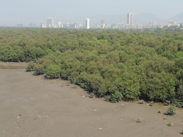 In March 2014, division bench of Justice VM Kanade and Justice Anil Menon impose an interim ban on reclamation and construction in wetland areas across the state.(HT PHOTO) In March 2014, division bench of Justice VM Kanade and Justice Anil Menon impose an interim ban on reclamation and construction in wetland areas across the state.(HT PHOTO)