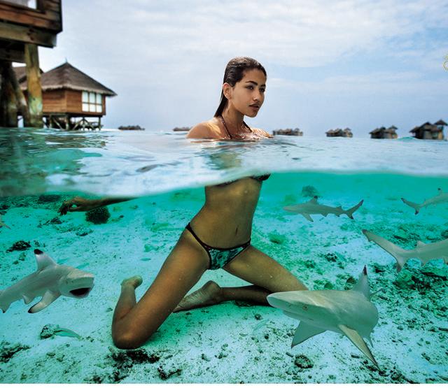A model poses for a shoot while sharks lurk underwater. (Atul Kasbekar)