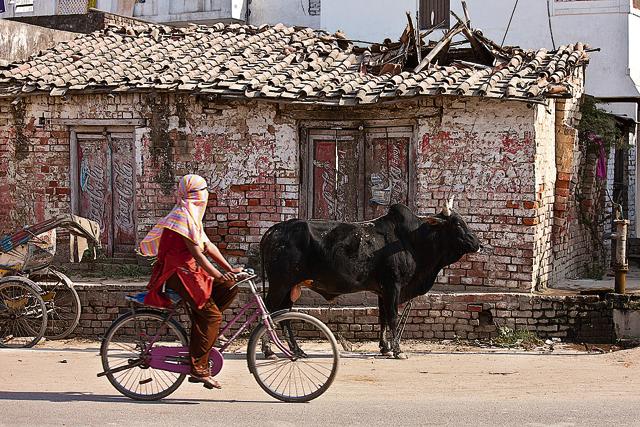 No joy ride(Tim Graham/Getty Images)