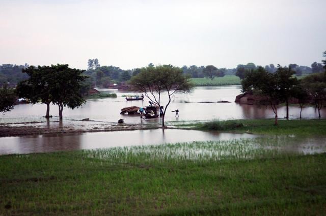 The swollen Ghaghra river caused a breach in the Elgin-Charsadi embankment and flooded farmlands. (Ashok Dutta/HT Photo)