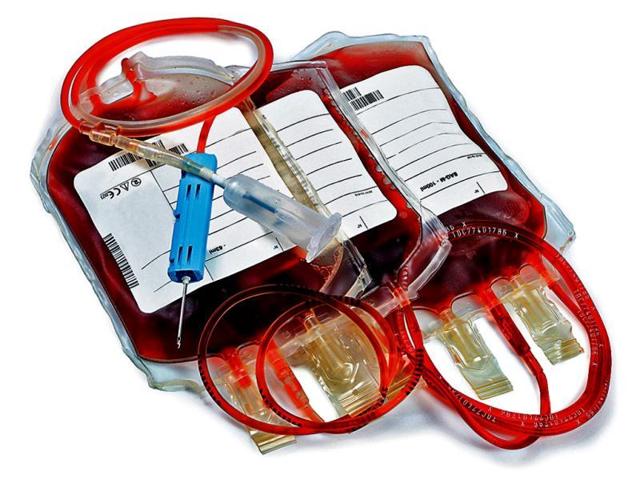 The handle of @bloodplusapp, belonging to Blood+ -- a group of blood donors – tweeted on Thursday saying that blood for a child was needed from “ONLY Kamma caste donors.” (File photo for representation) The handle of @bloodplusapp, belonging to Blood+ -- a group of blood donors – tweeted on Thursday saying that blood for a child was needed from “ONLY Kamma caste donors.” (File photo for representation)