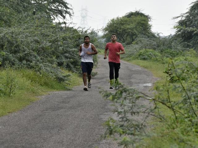 Locals make the most of the fresh, clean air by going for morning jogs near the lake. However, real estate plans will increase human presence in this pristine area, and damage the green zone. (Vipin Kumar/HT PHOTO)