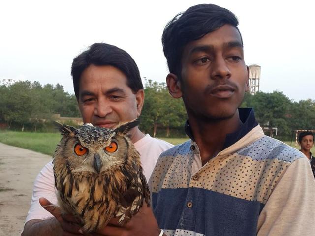 Class-12 student Karan Kumar (right) holds the rescued owl with Jawahar Navodaya Vidyalaya principal, Surya Prakash. (Photo: Baljinder Singh) Class-12 student Karan Kumar (right) holds the rescued owl with Jawahar Navodaya Vidyalaya principal, Surya Prakash. (Photo: Baljinder Singh)