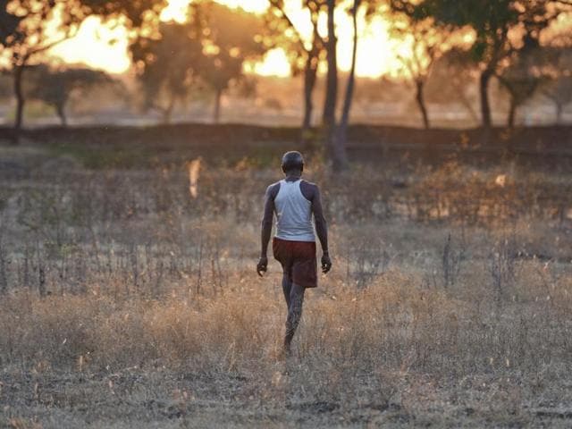 The Swatantrapur Vasahat is a 57-hectare open prison colony in western Maharashtra’s Atpadi taluka, where 27 men sentenced to life in jail for murder live with their families, work for wages and try to build better lives for themselves.(Satish Bate/Hindustan Times)