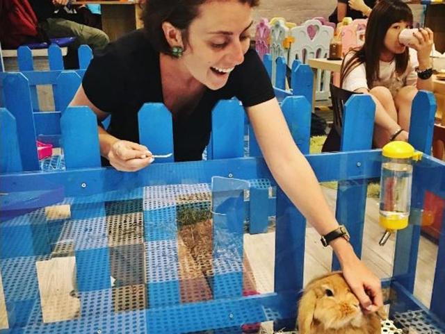 The latest addition to Hong Kong’s cafe scene is a place called Rabbitland. (RabbitlandCafechelseaborchers/Instagram) 