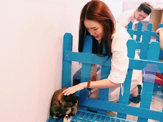 The Rabbitland has burrowed the concept from an existing one in Japan. (Rabbitcafekarennerra/INSTAGRAM) 