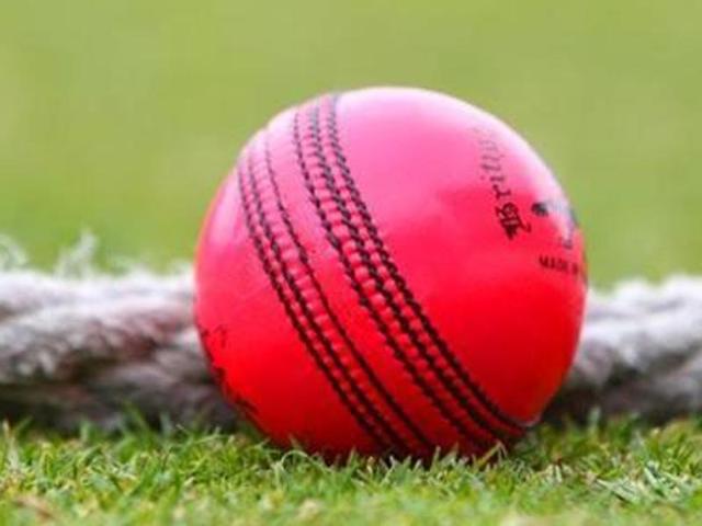 The success or lack thereof, of the pink ball could well determine the fate of Test cricket.(Getty Images) The success or lack thereof, of the pink ball could well determine the fate of Test cricket.(Getty Images)