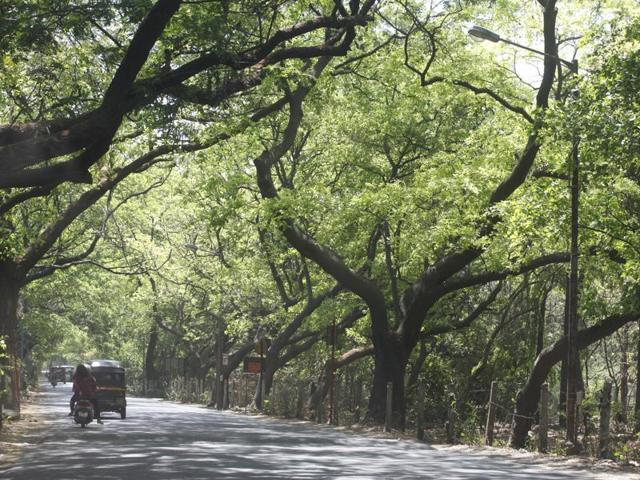 Of the 3,160 acres at Aarey, nearly 729 acres have been given to state government institutions and agencies including Mhada, BMC, fisheries department and Film City. (HT photo) Of the 3,160 acres at Aarey, nearly 729 acres have been given to state government institutions and agencies including Mhada, BMC, fisheries department and Film City. (HT photo)