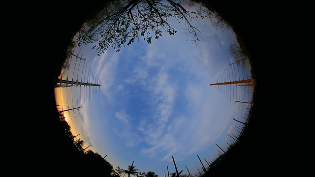 Art: Speculations from the Field, by Rohini Devasher.