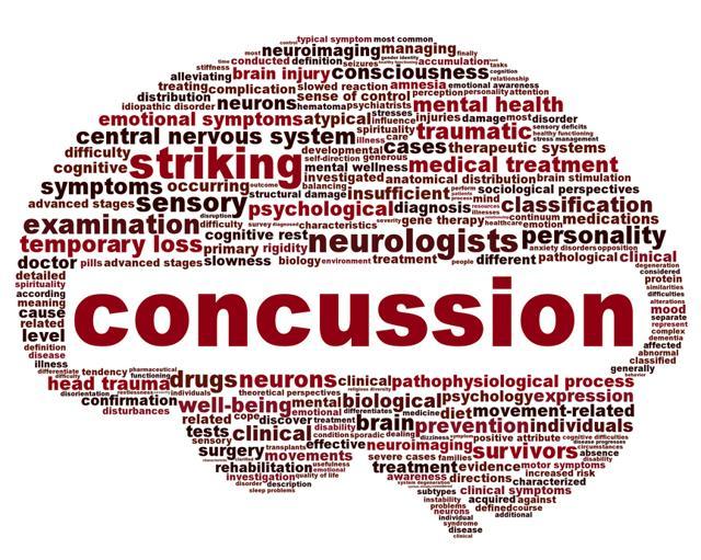 Brain injuries include problems such as concussions. (Shutterstock)