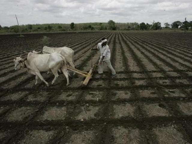 In the first phase, CM has planned to transform 1000 villages in the next two years with the help of the corporate sector and others. (Rajanish Kakade/Hindustan Times) In the first phase, CM has planned to transform 1000 villages in the next two years with the help of the corporate sector and others. (Rajanish Kakade/Hindustan Times)