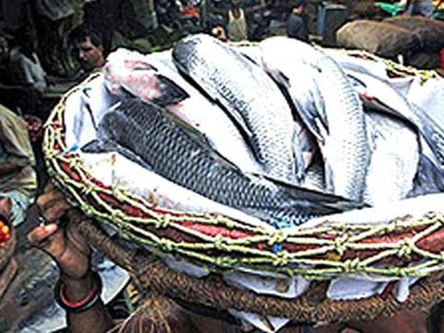 Fish like Pabda, Tangra, Sarpunti and Nados are all set to come back to the fish markets in a big way.(HT Photo) Fish like Pabda, Tangra, Sarpunti and Nados are all set to come back to the fish markets in a big way.(HT Photo)