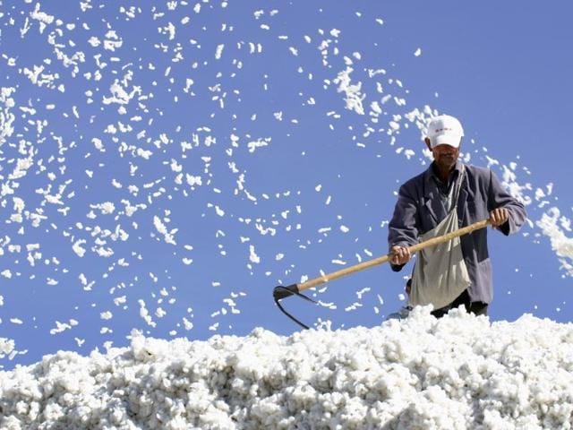 An Egyptian cotton tradesman at a market in Cairo (Reuters/file) An Egyptian cotton tradesman at a market in Cairo (Reuters/file)