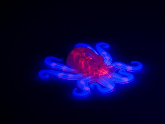 This image provided by Ryan Truby, Michael Wehner, and Lori Sanders, Harvard University, shows the octobot, an entirely soft, autonomous robot. The latest revolutionary robot isn’t the hardened costly machine you’d expect: It’s squishy like Silly Putty, wireless, without a battery and is made for pennies by a 3-D printer. (AP) This image provided by Ryan Truby, Michael Wehner, and Lori Sanders, Harvard University, shows the octobot, an entirely soft, autonomous robot. The latest revolutionary robot isn’t the hardened costly machine you’d expect: It’s squishy like Silly Putty, wireless, without a battery and is made for pennies by a 3-D printer. (AP)