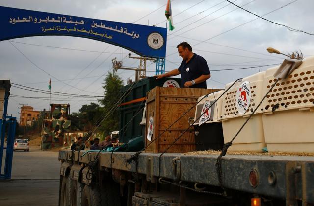 Members of the international animal welfare charity Four Paws transport animals across the Erez border. (AFP Photo) Members of the international animal welfare charity Four Paws transport animals across the Erez border. (AFP Photo)