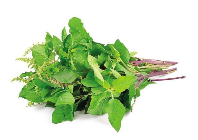 Decoctions made with herbs like tulsi are beneficial in curing fever (SHUTTERSTOCK) Decoctions made with herbs like tulsi are beneficial in curing fever (SHUTTERSTOCK)