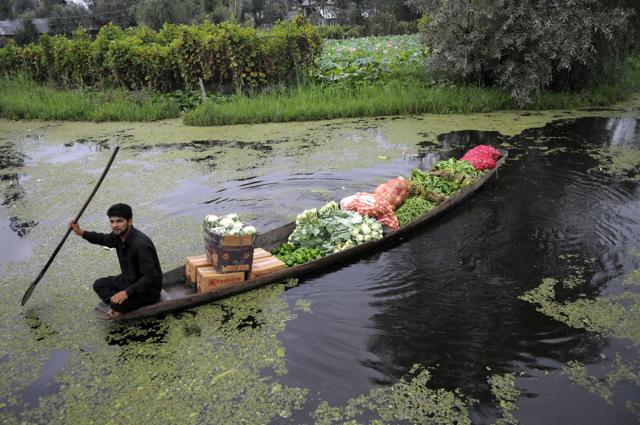 In the ongoing Kashmir turmoil, during which most shops remained closed, the floating market functioned everyday. (Waseem Andrabi/HT Photo) In the ongoing Kashmir turmoil, during which most shops remained closed, the floating market functioned everyday. (Waseem Andrabi/HT Photo)