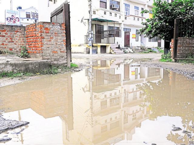 Following incessant rainfall in Gurgaon over the past few weeks, several areas in the city are waterlogged and have become breeding grounds for mosquitoes.(Parveen Kumar/HT photo) Following incessant rainfall in Gurgaon over the past few weeks, several areas in the city are waterlogged and have become breeding grounds for mosquitoes.(Parveen Kumar/HT photo)