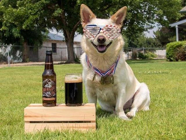 To celebrate this special day, we encourage you to go out and explore the wonderful world of Instagram dogs on your own and find some pups who really speak to you. (Instagram)