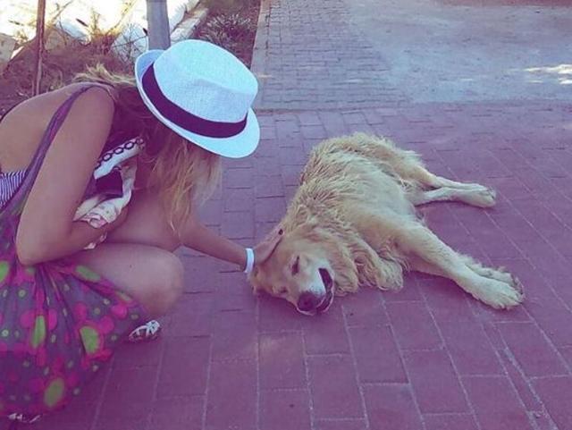 If you’re not up to date on the hottest dogs on Insta of the moment, you’re missing out. (Instagram)