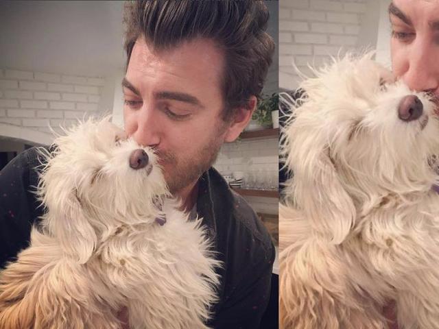 Mostly because they are little tiny bears with little paws and ears. They have silly faces and are basically just giant piles of fluff. Or living teddy bears. Fact. (Instagram)
