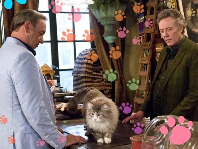 The antics of the CGI-rendered household pet, Mr Fuzzypants, barely manage to elicit a titter.