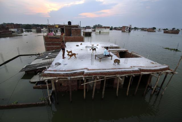 A person sits on the roof of their under-constructed submerged house in Allahabad. (AP Photo) A person sits on the roof of their under-constructed submerged house in Allahabad. (AP Photo)