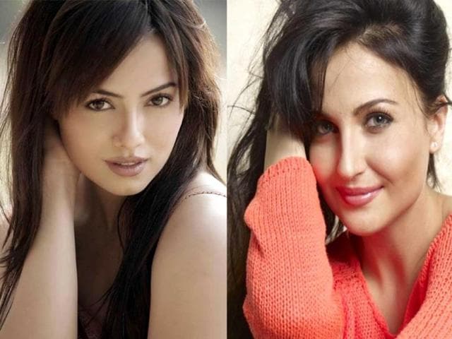 In previous seasons of Bigg Boss, a set of personalities seemed to be filled by contestants. If Rajat Eli Evam reminds you of Sana Khan, shades of Urvashi Dholakia can be seen in Kamya Punjabi. Browse through the moulds.