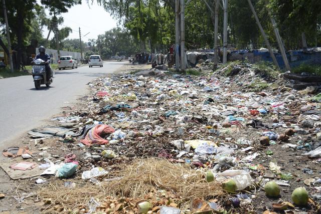 Heaps of garbage lying on the roadside is a regular sight in Sector 14, Vasundhara. (Sakib Ali/HT Photo) Heaps of garbage lying on the roadside is a regular sight in Sector 14, Vasundhara. (Sakib Ali/HT Photo)