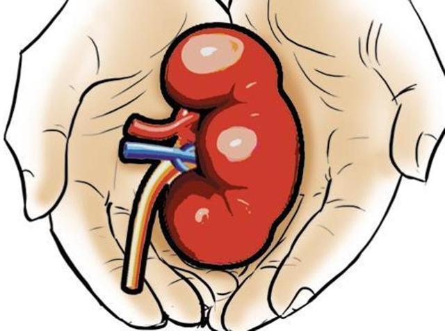 Hospital officials said on Saturday that its authorisation committee did not have the power to give permission for the transplant as the state’s authorisation committee approves transplant cases from other states. (File photo) Hospital officials said on Saturday that its authorisation committee did not have the power to give permission for the transplant as the state’s authorisation committee approves transplant cases from other states. (File photo)