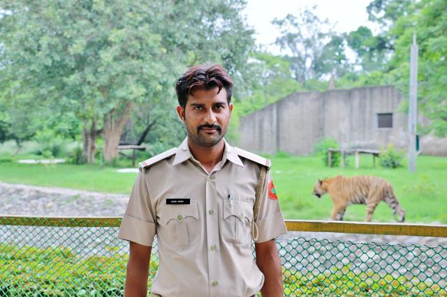 Sonu Singh, the tigers’ matchmaker. (Photo: Shivjot S Bhullar)