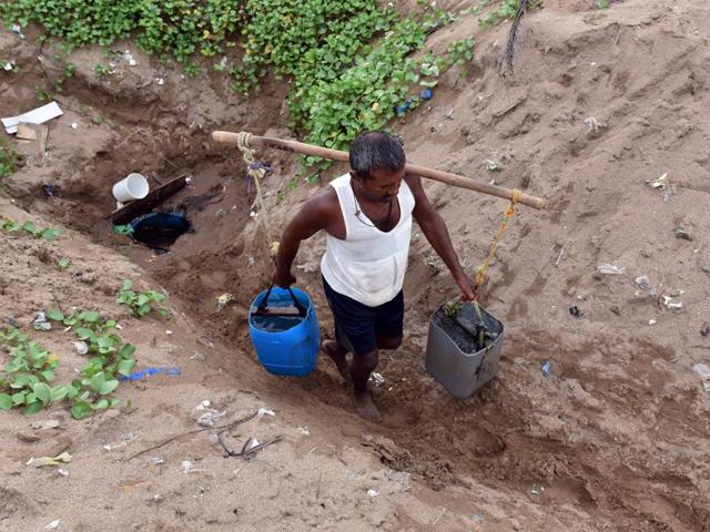 For many farmers, fenugreek farming is their sole source of livelihood and they fear they may lose it owing to the BMC’s  beautification project. (Pratham Gokhale) 