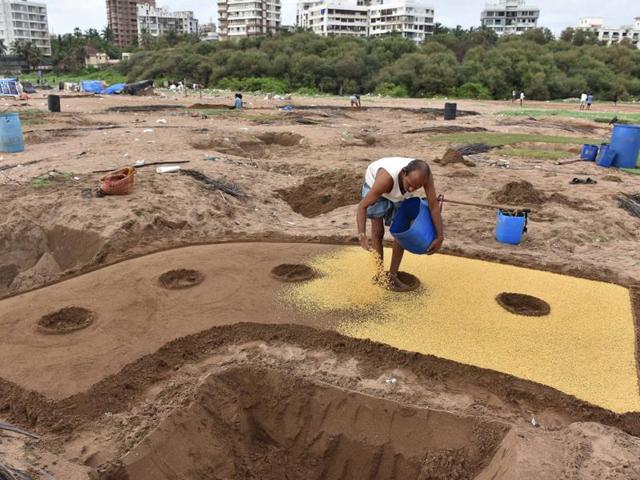 Sandy loam soils are best for fenugreek cultivation as they have good drainage capacity. (Pratham Gokhale) 