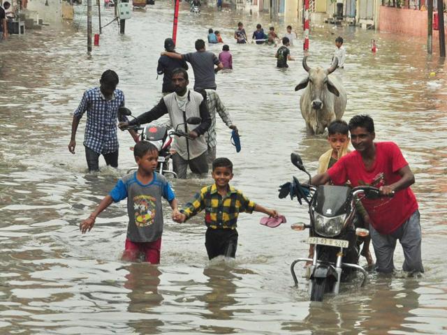 MLA Som Parkash (in T-shirt with blue and white vertical stripes) and others on a flooded street of Phagwara in Jalandhar district on Saturday.(HT Photo)