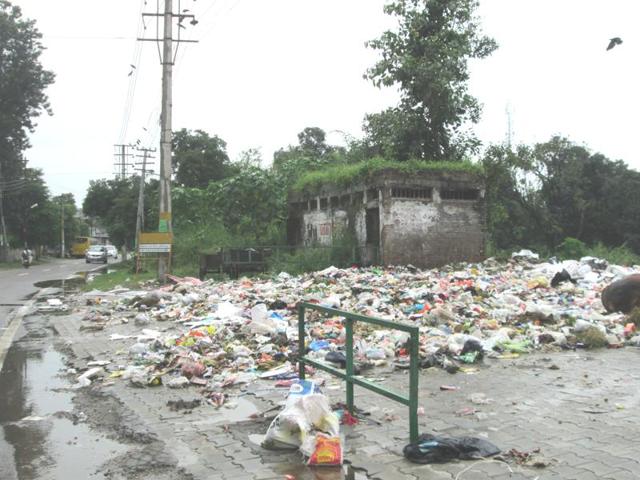A large garbage dump on Una road in Hoshiarpur.(HT Photo)