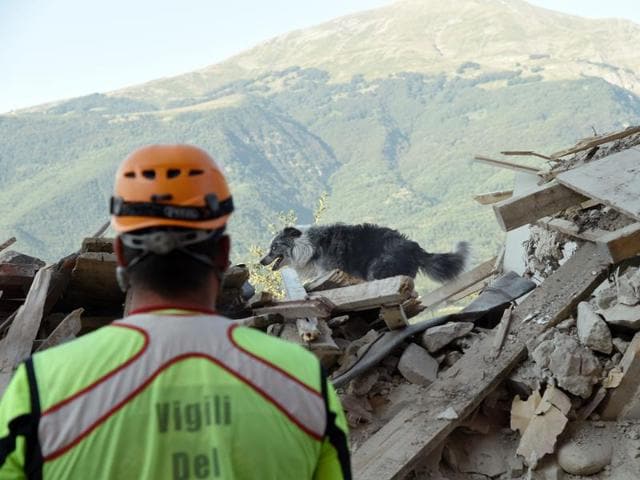 A firefighter looks at a dog searching for victims in the rubble and debris in the damaged central Italian village of Amatrice on August 27, 2016, three days after a 6.2-magnitude earthquake struck the region. (AFP Photo) A firefighter looks at a dog searching for victims in the rubble and debris in the damaged central Italian village of Amatrice on August 27, 2016, three days after a 6.2-magnitude earthquake struck the region. (AFP Photo)